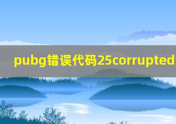 pubg错误代码25corrupted memory